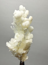 Load image into Gallery viewer, High-Grade Flower Calcite Crystal Specimen | Wenshan Mine, Yunnan, China | Collector Mineral Display