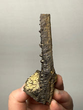 Load image into Gallery viewer, Botryoidal Stalactite Goethite (Iron Oxyhydroxide) Display Specimen | Turkey
