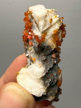 Load image into Gallery viewer, Natural Vanadinite on Matrix | Collector Mineral Specimen | Morocco