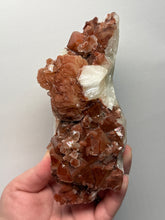 Load image into Gallery viewer, Rare Red Apophyllite + Druzy Red Stilbite Flowers — Deccan Traps, India