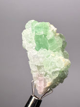 Load image into Gallery viewer, Mint Green Tourmaline
And Pink Morganite on Matrix– Pegmatite Mineral Specimen from Pakistan
