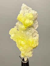 Load image into Gallery viewer, Vibrant Yellow Brucite Thumbnail Mineral Specimen | Collector Crystal from Killa Saifullah District in Balochistan Province, Pakistan