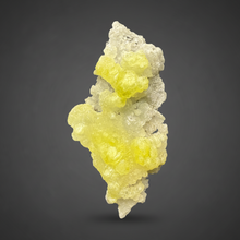 Load image into Gallery viewer, Vibrant Yellow Brucite Thumbnail Mineral Specimen | Collector Crystal from Killa Saifullah District in Balochistan Province, Pakistan