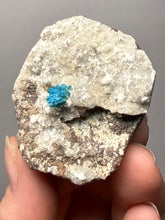 Load image into Gallery viewer, Rare Electric Blue Cavansite on Druzy Matrix – Collector Mineral Specimen | India