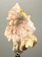 Load image into Gallery viewer, Sunset Goblin Chalcedony Botryoidal Stalactite | Sidi Rahal, Morocco (Western Sahara) Mineral Display Specimen
