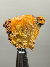 Load image into Gallery viewer, High-Grade Orange Wulfenite Collector Display Specimen | La Morita Mine, Chihuahua, Mexico