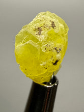 Load image into Gallery viewer, Vibrant Yellow Brucite Thumbnail Mineral Specimen | Collector Crystal from Killa Saifullah District in Balochistan Province, Pakistan