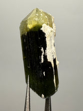 Load image into Gallery viewer, Green Cap Stak Nala Tourmaline with Cleavelandite – Haramosh Mountains, Pakistan | Thumbnail Specimen