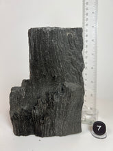 Load image into Gallery viewer, Black Druzy Petrified Wood from Indonesia