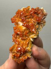 Load image into Gallery viewer, Natural Vanadinite on Matrix | Collector Mineral Specimen | Morocco