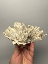 Load image into Gallery viewer, Rare Natural Anhydrite Collector Mineral Specimen | Brazil