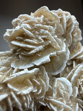 Load image into Gallery viewer, Desert Rose Selenite (Gypsum) — Mineral Display Specimen | Mexico