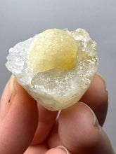 Load image into Gallery viewer, Rare Botryoidal Yellow Fluorite on Quartz Matrix Collector Mineral Specimen – Maharashtra, India