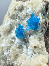 Load image into Gallery viewer, Rare Electric Blue Pentagonite on Druzy Matrix – Collector Mineral Specimen | India