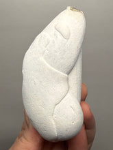 Load image into Gallery viewer, Chichaoua Menalite “Fairy Stone” Concretion | Natural Collector Display Specimen | Morocco