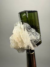 Load image into Gallery viewer, Dark Green Stak Nala Tourmaline and Cleavelandite – Haramosh Mountains, Pakistan | Thumbnail Specimen
