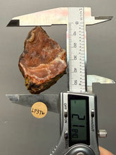 Load image into Gallery viewer, Chalcedony Quartz Rose Agate Collector Mineral Specimen – Morocco