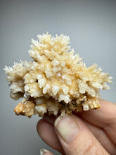 Load image into Gallery viewer, High-Grade Coral Aragonite Crystal Specimen – Wenshan Mine, Yunnan, China
