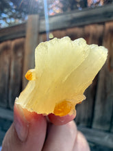 Load image into Gallery viewer, Golden Yellow Stilbite + Golden Calcite • Maharashtra, India