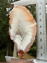 Load image into Gallery viewer, Rare Moroccan White Agate w Incredible Parallax Collected by Indigenous Nomads | Ancient Beauty from the Sahara