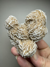 Load image into Gallery viewer, Desert Rose Selenite (Gypsum) — Mineral Display Specimen | Mexico