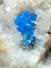 Load image into Gallery viewer, Rare Electric Blue Pentagonite on Druzy Matrix – Collector Mineral Specimen | India