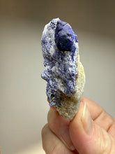 Load image into Gallery viewer, Afghan Lazurite Specimen | Deep Blue Lapis-Grade Crystal on Matrix | Collector Display Mineral