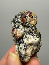 Load image into Gallery viewer, Naturally Faceted Zircon Crystal on Pegmatite–Biotite Matrix • Pakistan Mineral Specimen