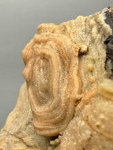 Load image into Gallery viewer, Chalcedony Quartz Rose Agate Collector Mineral Specimen – Morocco