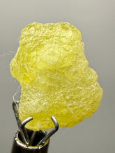 Load image into Gallery viewer, Vibrant Yellow Brucite Thumbnail Mineral Specimen | Collector Crystal from Killa Saifullah District in Balochistan Province, Pakistan