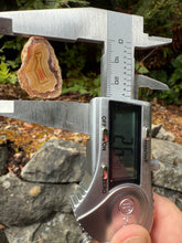 Load image into Gallery viewer, High-Grade Parallax Banded Laguna Agate – Bright Red & Yellow Crystal from Mexico