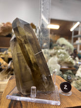 Load image into Gallery viewer, Smoky Citrine (Natural) • Madagascar