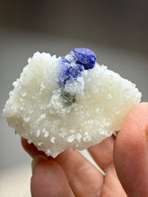 Load image into Gallery viewer, Afghan Lazurite Specimen | Deep Blue Lapis-Grade Crystal on Matrix | Collector Display Mineral