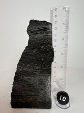 Load image into Gallery viewer, Black Druzy Petrified Wood from Indonesia