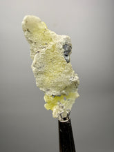 Load image into Gallery viewer, Vibrant Yellow Brucite Thumbnail Mineral Specimen | Collector Crystal from Killa Saifullah District in Balochistan Province, Pakistan