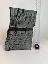 Load image into Gallery viewer, Black Druzy Petrified Wood from Indonesia