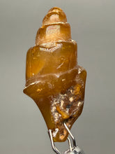 Load image into Gallery viewer, Agatized Gastropod Fossil Specimen | Morocco
