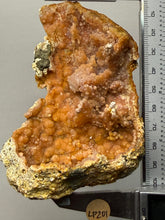 Load image into Gallery viewer, “Goblin Chalcedony” Pink & Orange Druzy Botryoidal Stalactites — Tichka Massif, High Atlas, Morocco
