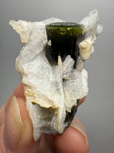 Load image into Gallery viewer, Green Cap Dark Green Stak Nala Tourmaline on Cleavelandite on Matrix – Haramosh Mountains, Pakistan