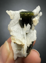 Load image into Gallery viewer, Green Cap Dark Green Stak Nala Tourmaline on Cleavelandite on Matrix – Haramosh Mountains, Pakistan