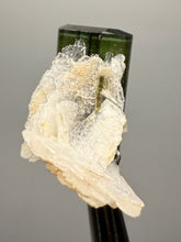 Load image into Gallery viewer, Green Cap Stak Nala Tourmaline with Cleavelandite – Haramosh Mountains, Pakistan | Thumbnail Specimen
