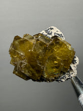 Load image into Gallery viewer, Vibrant Yellow Barite | Collector Display Specimen | Taourirt Mine, Morocco