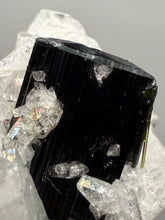 Load image into Gallery viewer, Blue Cap on Dark Green Stak Nala Tourmaline on Cleavelandite on Matrix – Haramosh Mountains, Pakistan