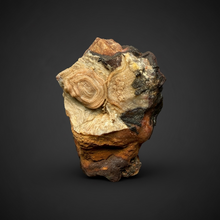 Load image into Gallery viewer, Chalcedony Quartz Rose Agate Collector Mineral Specimen – Morocco
