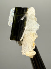 Load image into Gallery viewer, Dark Green Cap Stak Nala Tourmaline with Cleavelandite Flower – Haramosh Mountains, Pakistan | Thumbnail Specimen