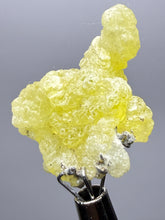 Load image into Gallery viewer, Vibrant Yellow Brucite Thumbnail Mineral Specimen | Collector Crystal from Killa Saifullah District in Balochistan Province, Pakistan