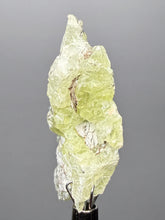 Load image into Gallery viewer, Vibrant Yellow Brucite Thumbnail Mineral Specimen | Collector Crystal from Killa Saifullah District in Balochistan Province, Pakistan