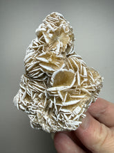 Load image into Gallery viewer, Desert Rose Selenite (Gypsum) — Mineral Display Specimen | Mexico