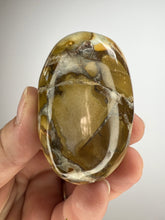 Load image into Gallery viewer, Cobra Jasper Palm Stone from India • High Grade