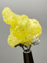 Load image into Gallery viewer, Vibrant Yellow Brucite Thumbnail Mineral Specimen | Collector Crystal from Killa Saifullah District in Balochistan Province, Pakistan